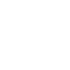 Wheelchair user